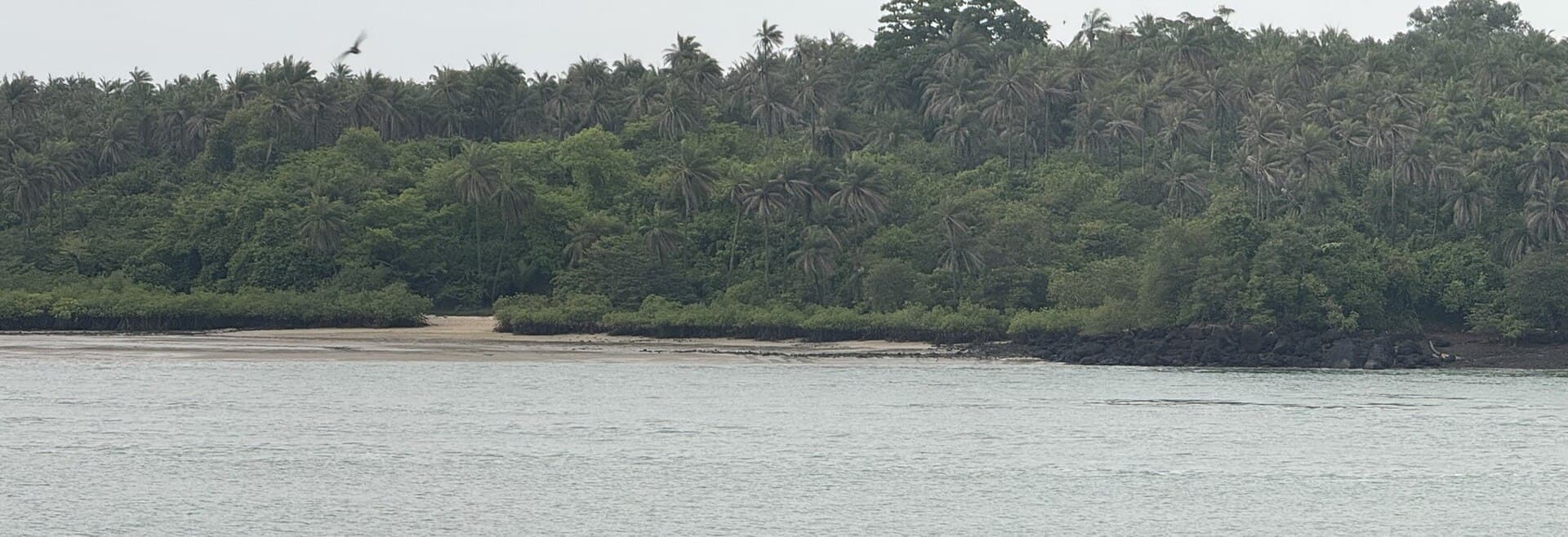A ilha de Rubane vista de Bubaque: palmeiras, mangal e uma praia na maré baixa